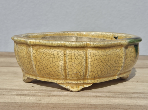 Tokoname Terahata Satomi 175mm ×145mm × 57mm